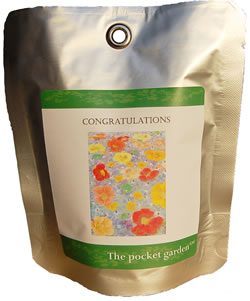 Unbranded Congratulations of Nasturtium or Phlox Flowers in The Pocket Garden