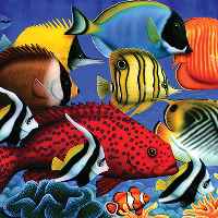 Coral Fish 250 Piece Wooden Jigsaw