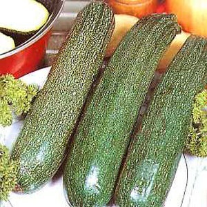 Unbranded Courgette Zucchini All Green Seeds