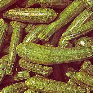 Unbranded Courgette Zucchini Seeds