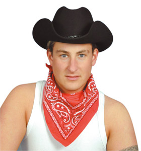 Unbranded Cowboy Bandana