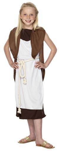 Unbranded Curriculum Costume: Viking Girl (Small 3-5 Yrs)