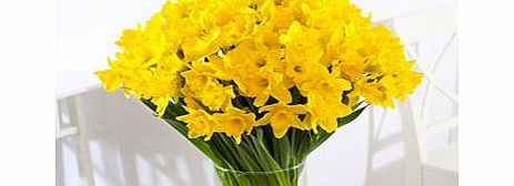 Unbranded Daffodils - flowers by post