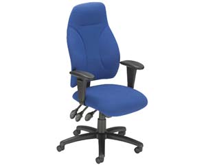 Unbranded Dallington posture chair