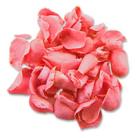 dark pink rose petals