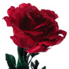 Unbranded Dark Red Rose