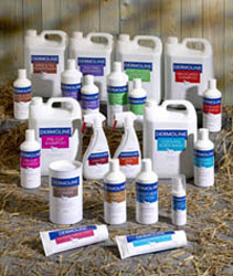 Unbranded Dermoline Lice Kill shampoo for Horses