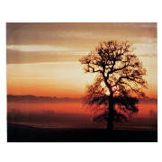 Unbranded Desert And Tree Canvas 50x40