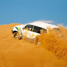 If you fancy a bit of exhilaration and a sample of authentic desert life, this is the excursion to b