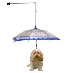 A unique pet umbrella designed to keep pets dry when going out in the rain.  Use instead of a leash,