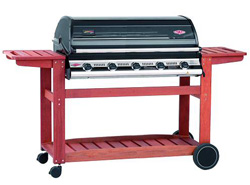 Discovery Porcelain Hooded Gas Barbecue - 5 Burner