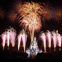 Unbranded DisneyWorld Florida - 21 Day Ultimate Ticket -