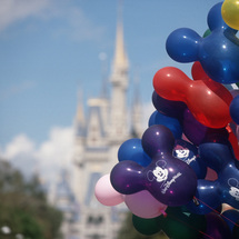 Unbranded DisneyWorld Florida - 7 Day Premium Ticket -