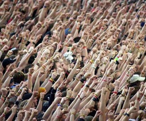 Unbranded Django Asanduuml;l / Fragil