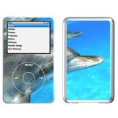 Dolphin Lapjacks Skin For iPod Video