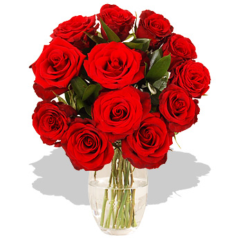 Unbranded Dozen Red Roses - flowers