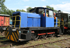 Drive a Diesel Train on the Ecclesbourne Valley Railway