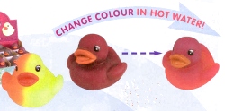 Duck - Colour change