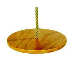 Dunster House Monkey Swing