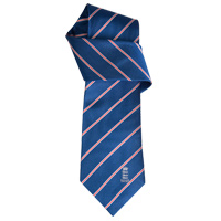 Unbranded ECB Official England Cricket Striped Tie.