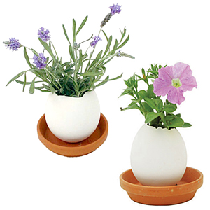 Unbranded Egglings Flowers - Set of 4