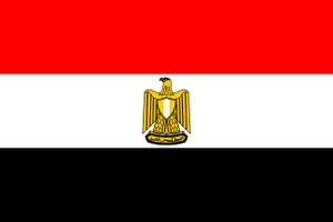 Unbranded Egypt paper flag, 11`` x 8``