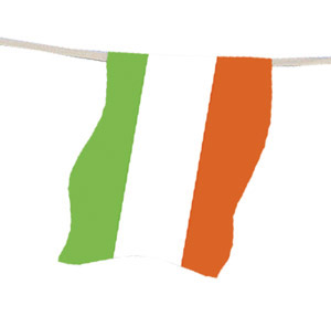 Eire bunting, 8ftx10flags
