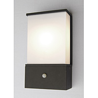 Unbranded ELAZ/LE6PIR - Dark Grey Outdoor Sensor Light