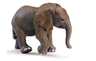 Unbranded Elephant Calf
