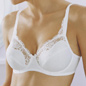Embroidered Lace Underwired Bra