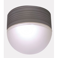 Unbranded ENGD 711 - Grey Outdoor Ceiling Light