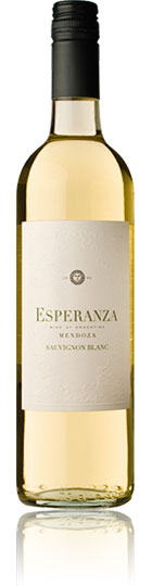 Esperanza Sauvignon Blanc 2007 Mendoza Valley (75cl)
