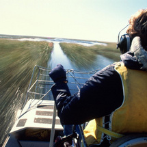 Unbranded Everglades Tour with Airboat Ride - Adult
