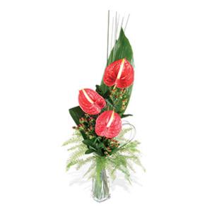 Unbranded Exotic Trio - Flowers by Post