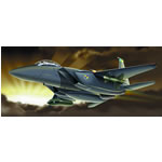 Unbranded F-15E Strike Eagle U.S.A.F Desert Storm