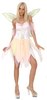 Fairy Costume With Wings
