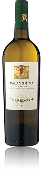 Unbranded Falanghina 2012, Terredora