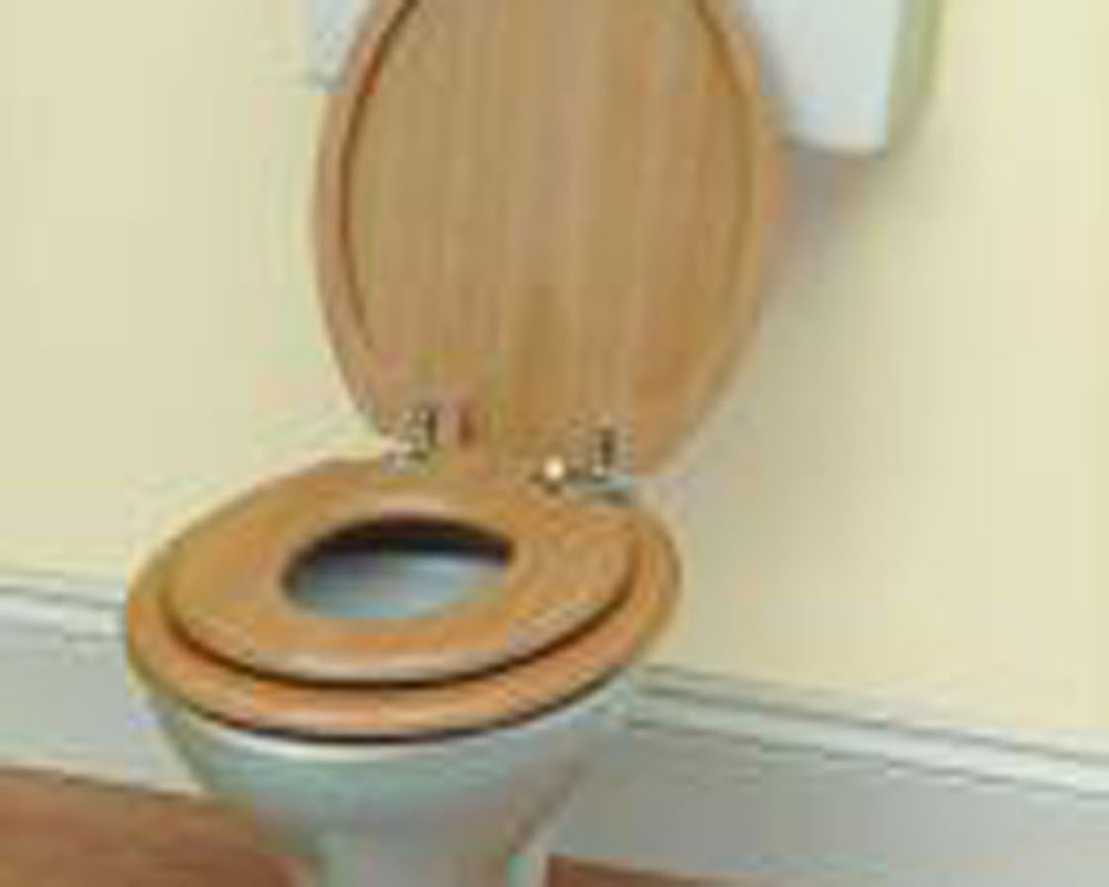 Unbranded Family Loo Seat