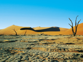 Unbranded Family safari to Namibia
