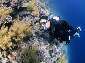 Family scuba diving holidays in the Red Sea