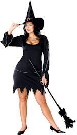 Unbranded Fancy Dress - Adult Bewitched Sexy Witch Costume (FC)