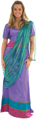 Unbranded Fancy Dress - Adult Bollywood Beauty Sari Costume