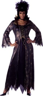 Unbranded Fancy Dress - Adult Budget Spiderella Costume Large