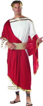 Unbranded Fancy Dress - Adult Caesar Roman Costume