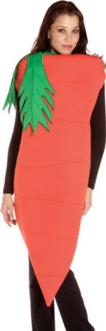 Unbranded Fancy Dress - Adult Carrot Costume