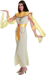 Costume includes dress with gold sparkles, gold sparkle shawl, foam collar, and jeweled belt.