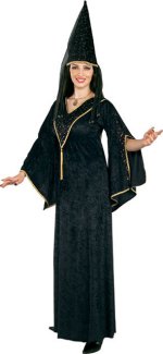Unbranded Fancy Dress - Adult Court Wizardess Costume