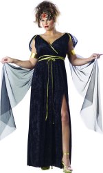 Unbranded Fancy Dress - Adult Crushed Velvet Medusa Costume (FC)