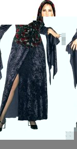 Unbranded Fancy Dress - Adult Dark Vixen Costume (FC)