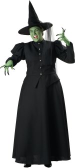 Unbranded Fancy Dress - Adult Elite Quality Wicked Witch Costume (FC) XXXL
